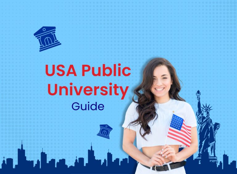 Public Universities in the USA: Path to Excellence and Higher Education