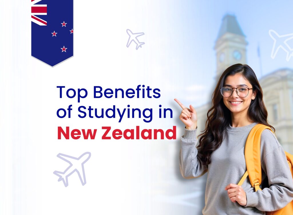 Benefits of studying in new zealand featured image