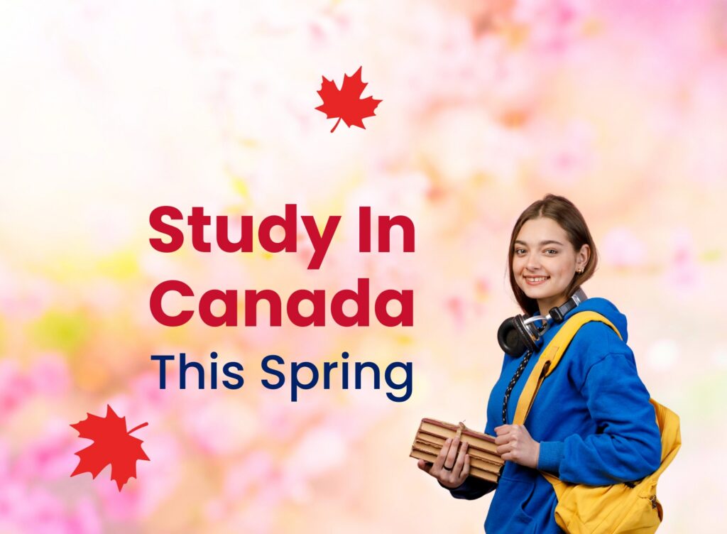 Canadian universities spring intake featured image