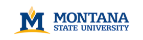 Montana state university logo