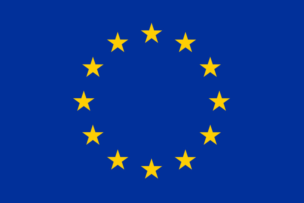 Flag european union 1 scaled.jpg